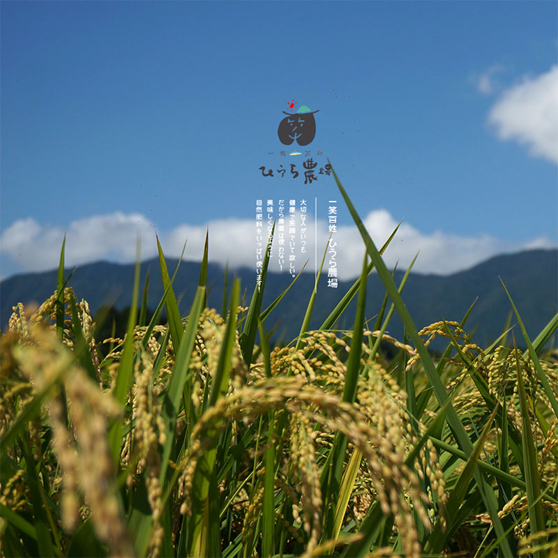 樋浦農場